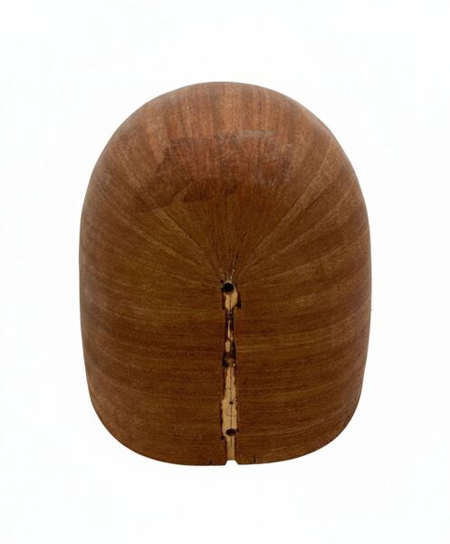 Yaprak Maun Klasik Tekne 50 cm