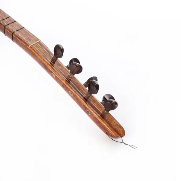 Kısa Sap Yaprak Karaağaç Bağlama