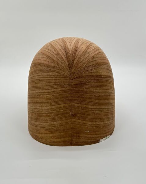 Yaprak Karaağaç Bağlama Teknesi