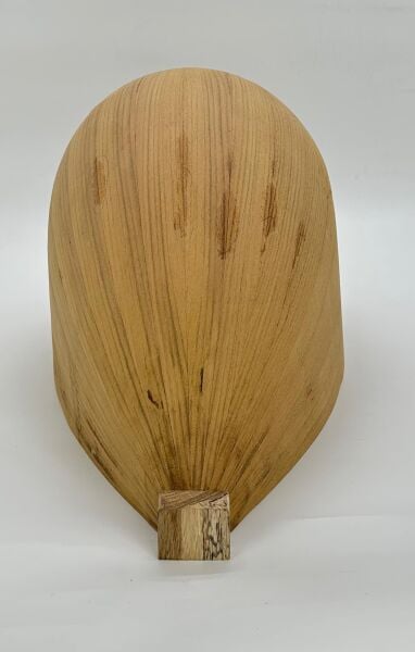 Yaprak Dut Bağlama Teknesi