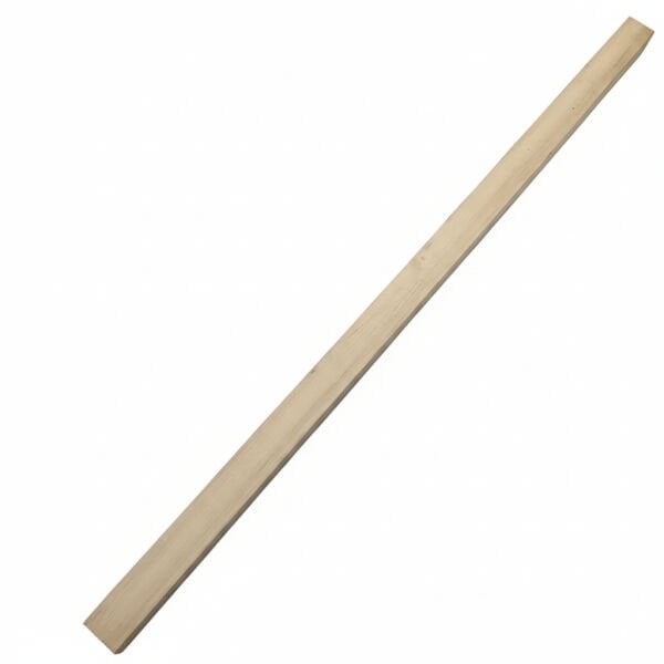 Tiges non transformées