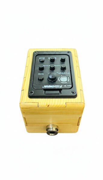 Fishmann 201 Harici Mobil Equalizer – Profesyonel Ses Kontrol Ünitesi