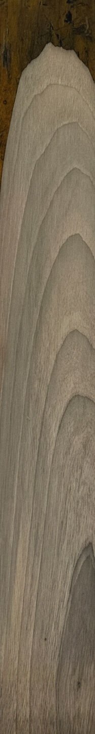 Ceviz Ağacı Ahşap Blok – Zarafeti ve Dayanıklılığı Bir Arada Sunan Doğal Hammadde