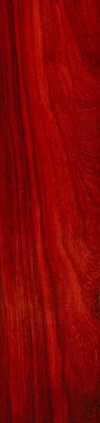 Paduk Ağacı Blok – Çalgı Yapımına Uygun Kalitede Masif Ağaç