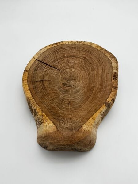 Doğal Meşe Ağacı Dilimi – Hobi ve Dekorasyon İçin Özel Kesim