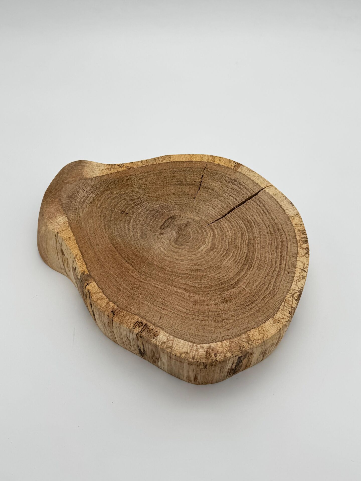 Doğal Meşe Ağacı Dilimi – Hobi ve Dekorasyon İçin Özel Kesim