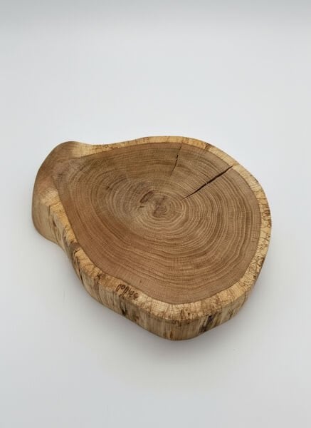 Doğal Meşe Ağacı Dilimi – Hobi ve Dekorasyon İçin Özel Kesim - Natural Oak Wood Slice – Specially Cut for Hobbies and Decoration