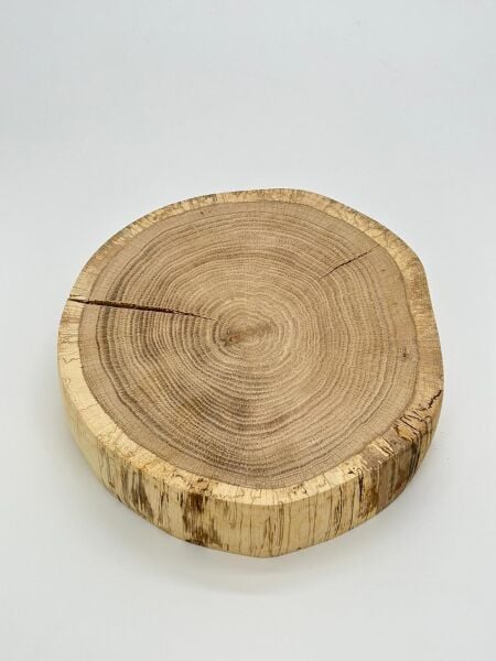 Doğal Meşe Ağacı Dilimi – Hobi ve Dekorasyon İçin Özel Kesim