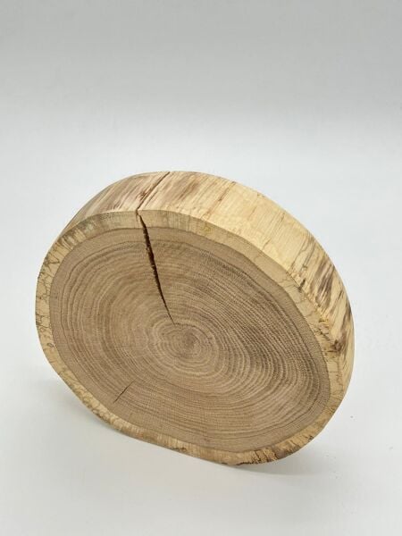 Doğal Meşe Ağacı Dilimi – Hobi ve Dekorasyon İçin Özel Kesim