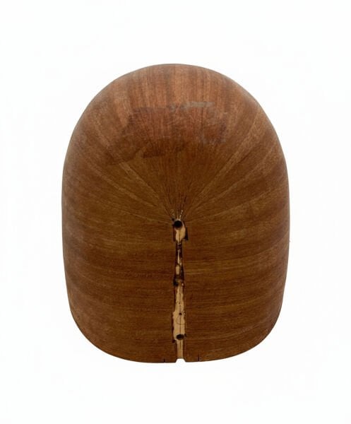 Yaprak Maun Bağlama Teknesi - Bağlama Yapım Parçası | Mahogany Wood Baglama Bowl for Instrument Making | Mahagoni Holz Baglama Korpus für Musikinstrum