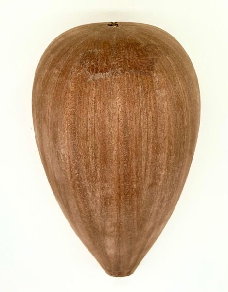 Yaprak Maun Bağlama Teknesi - Bağlama Yapım Parçası | Mahogany Wood Baglama Bowl for Instrument Making | Mahagoni Holz Baglama Korpus für Musikinstrum